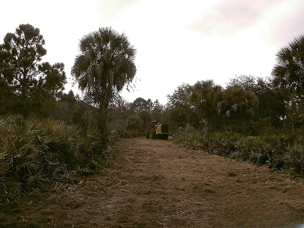 Land clearing expense Land Clearing Expense