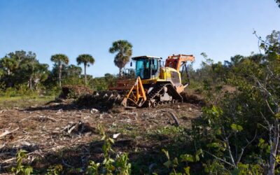 Forestry Mulching in Sarasota: Efficient, Eco-Friendly Land Clearing for Sarasota County Properties